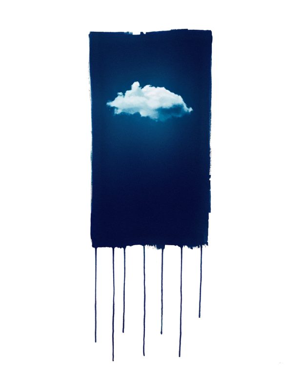 © Cotton Miller